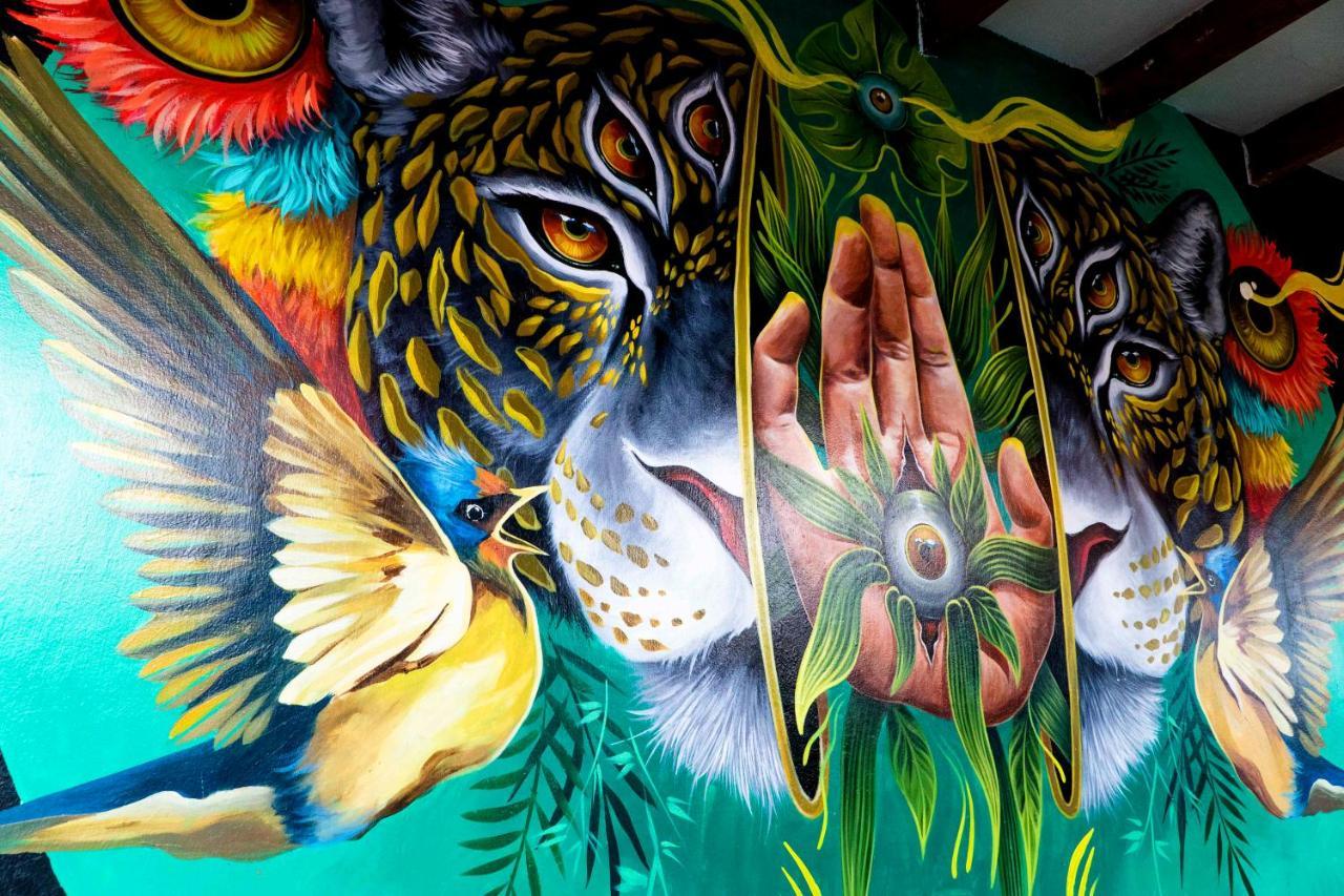 Black Llama Hostel Miraflores Лима Экстерьер фото